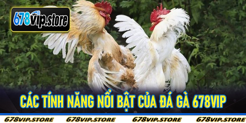 Các Tính Năng Nổi Bật Của Đá Gà 678Vip