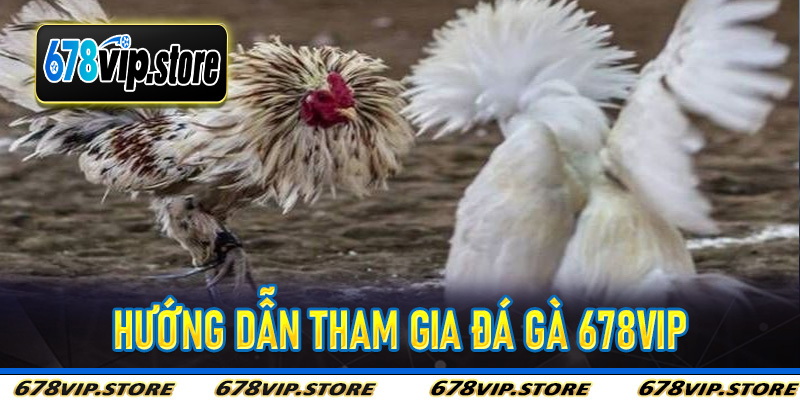 Hướng Dẫn Tham Gia Đá Gà 678Vip