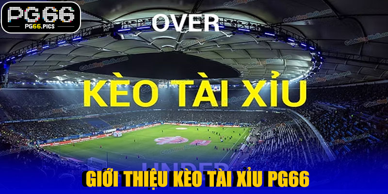 Giới Thiệu Kèo Tài Xỉu PG66
